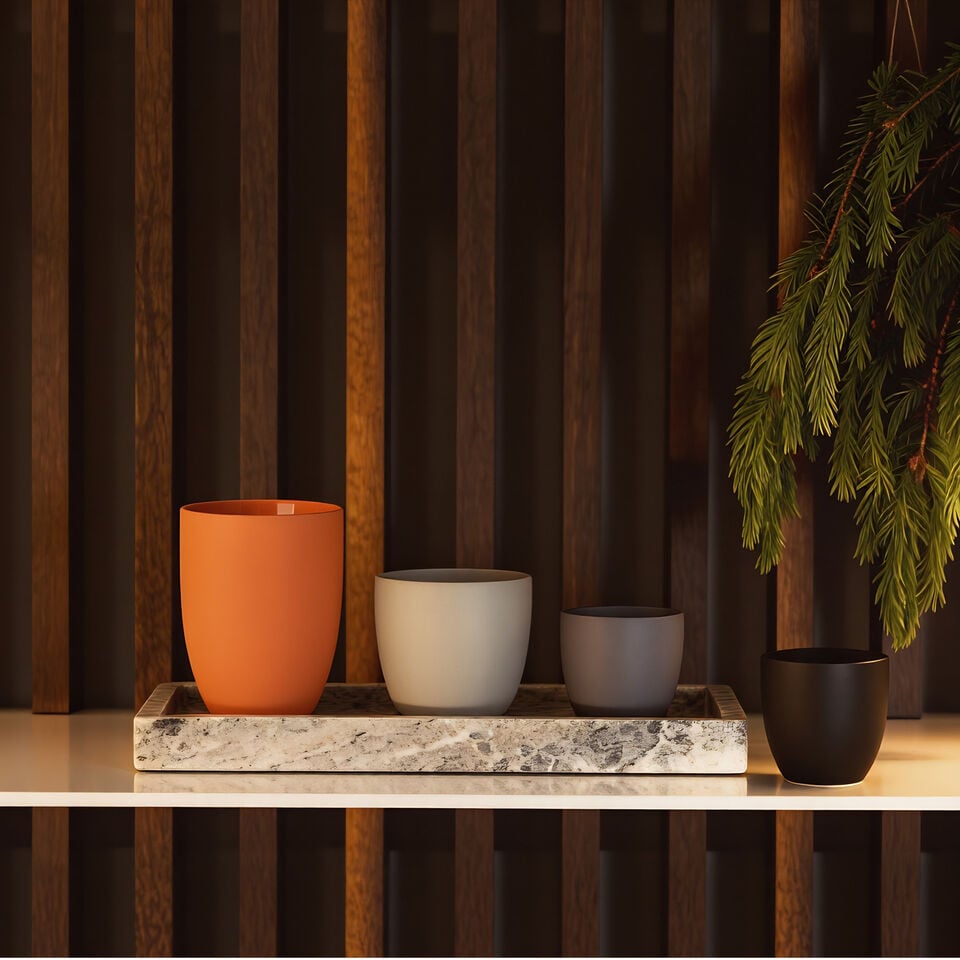 A wooden table with four minimalist ceramic tumblers in black, grey, and white tones, placed in a cozy, leafy interior.