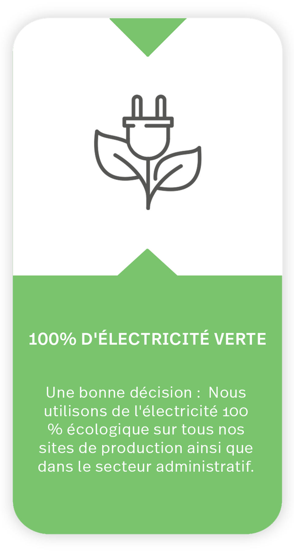 The icon shows a power plug on a flower stem. Text under icon: 100% green energy: A conscious choice: We use 100% ecologically generated electricity at all our production sites and in our administration. 