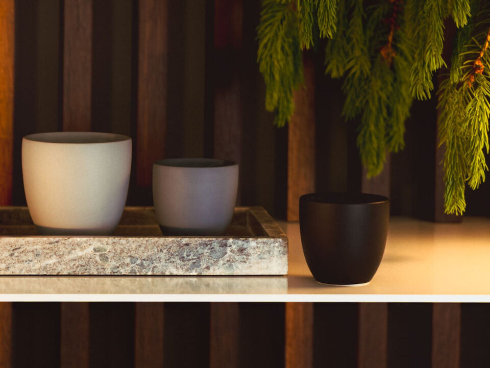 A tea setup with white porcelain tableware featuring a light blue floral pattern, including a teapot, teacup with lemon tea, and a plate with cream-topped madeleines and edible flowers.