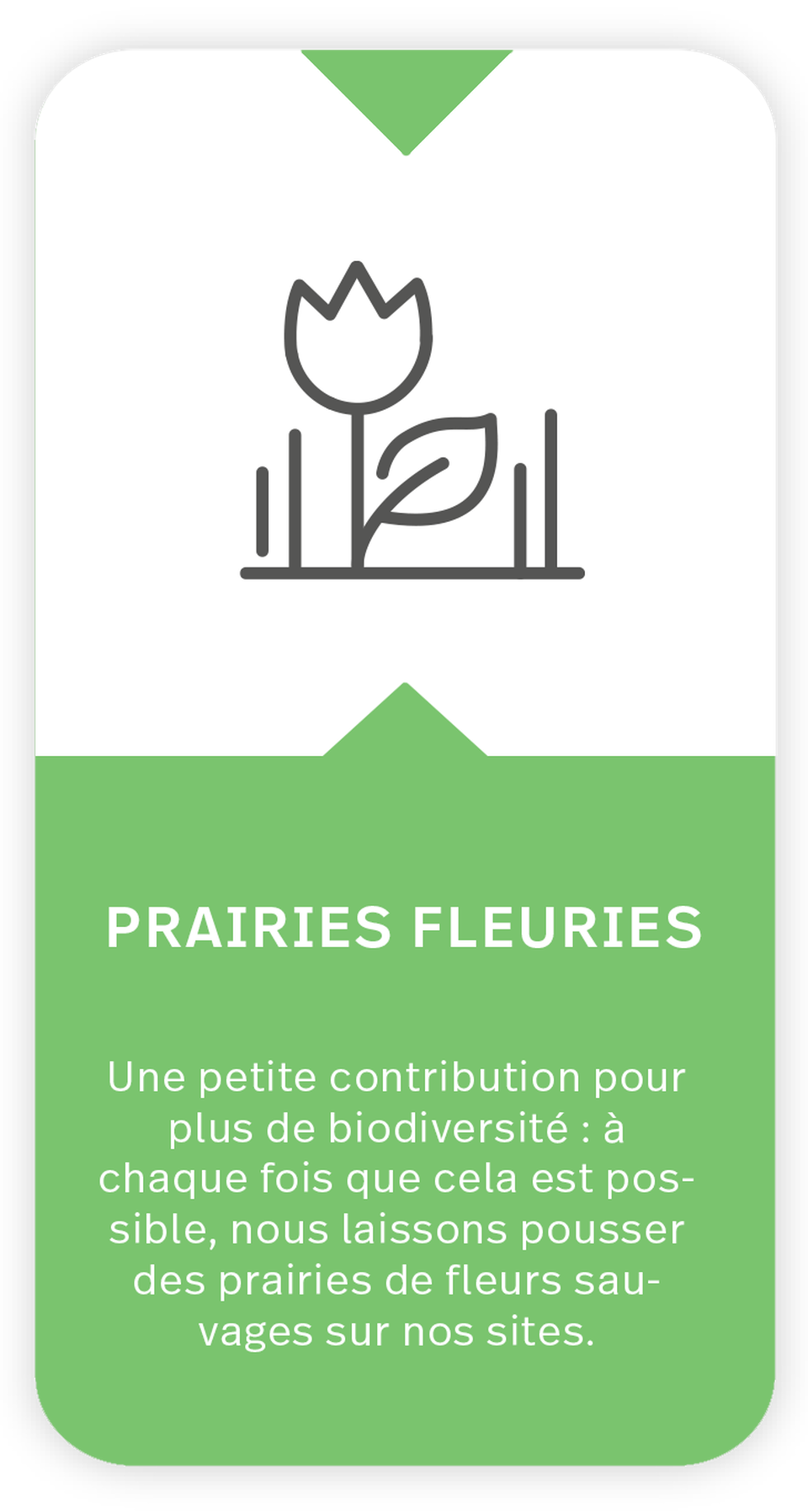 The icon is showing a flower. Text under icon: Flower meadows: A small contribution to more biodiversity: Wherever possible, we let wildflower meadows grow at our sites.