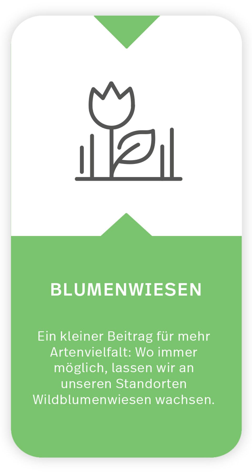 Icon + Text zum Thema Blumenwiesen  Das Icon zeigt eine Blume. Text unter Icon: Blumenwiesen: Ein kleiner Beitrag für mehr Artenvielfalt: Wo immer möglich, lassen wir an unseren Standorten Wildblumenwiesen wachsen.