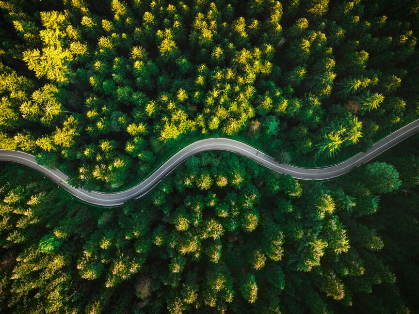 Kurvige Straße  Das Bild zeigt in der Vogelperspektive eine Straße, die durch einen dichen Wald führt.
