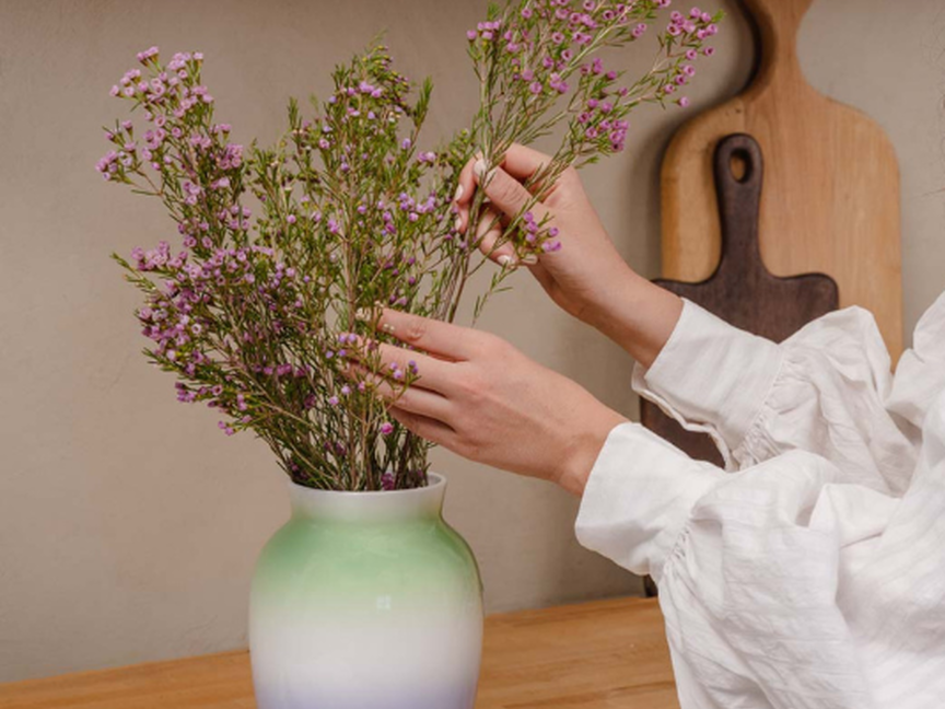 Person arragniert rosa Blumen in Rosenthal Vase