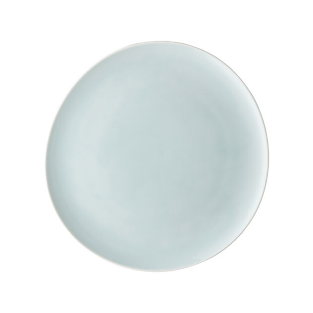 Plate 27 cm flat image number 0
