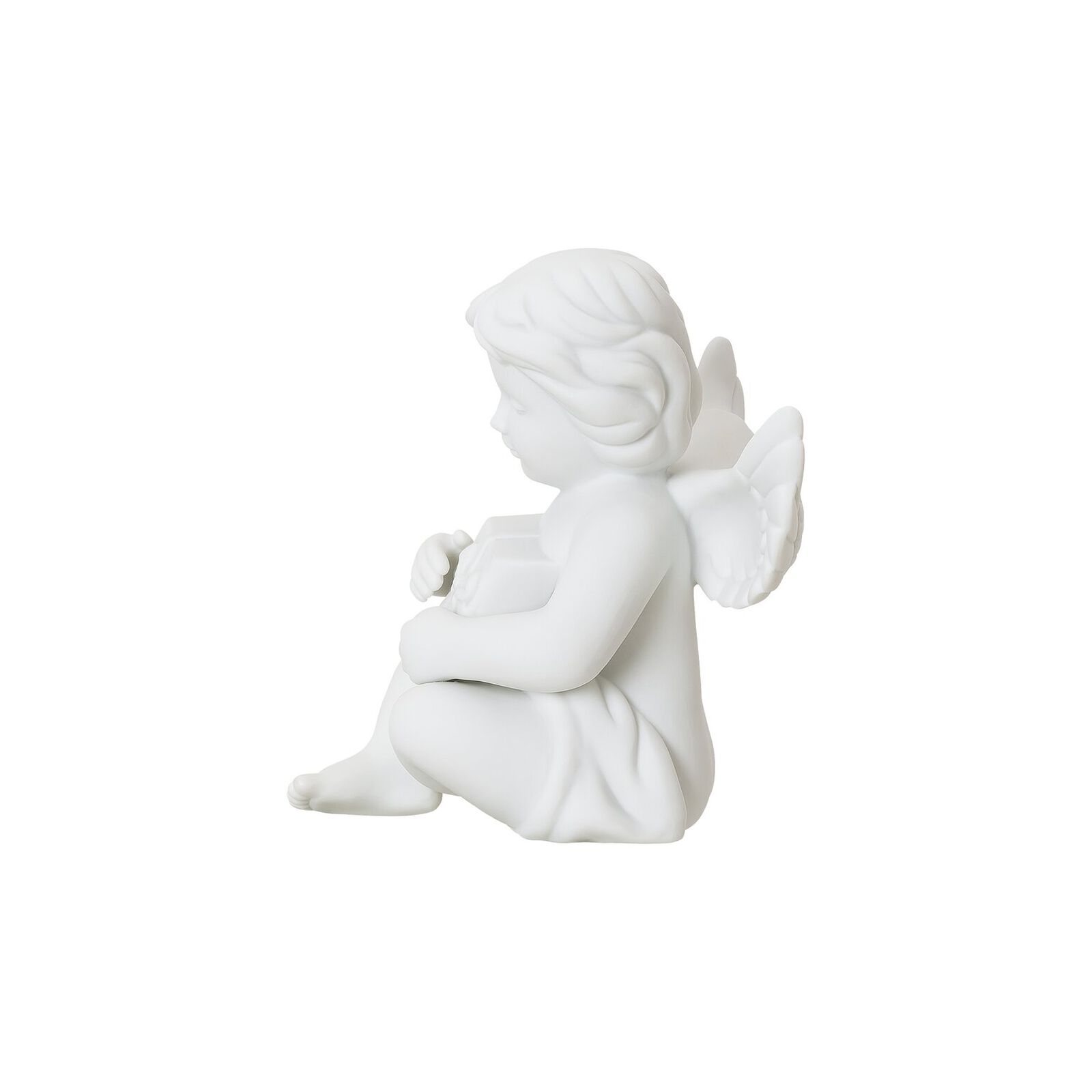 Angel with gift image number null