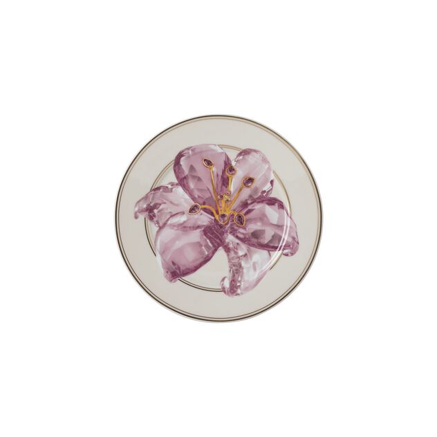 Plate 18 cm image number 0