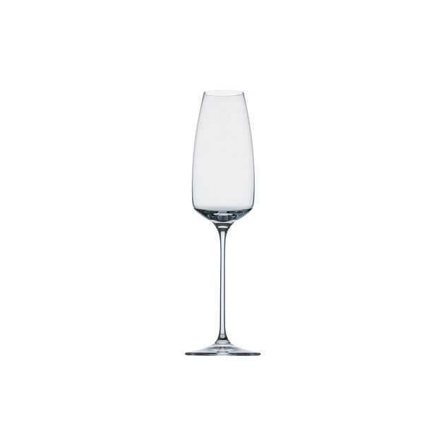 Champagner image number 0