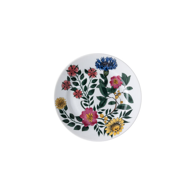 Rim plate 17 cm
