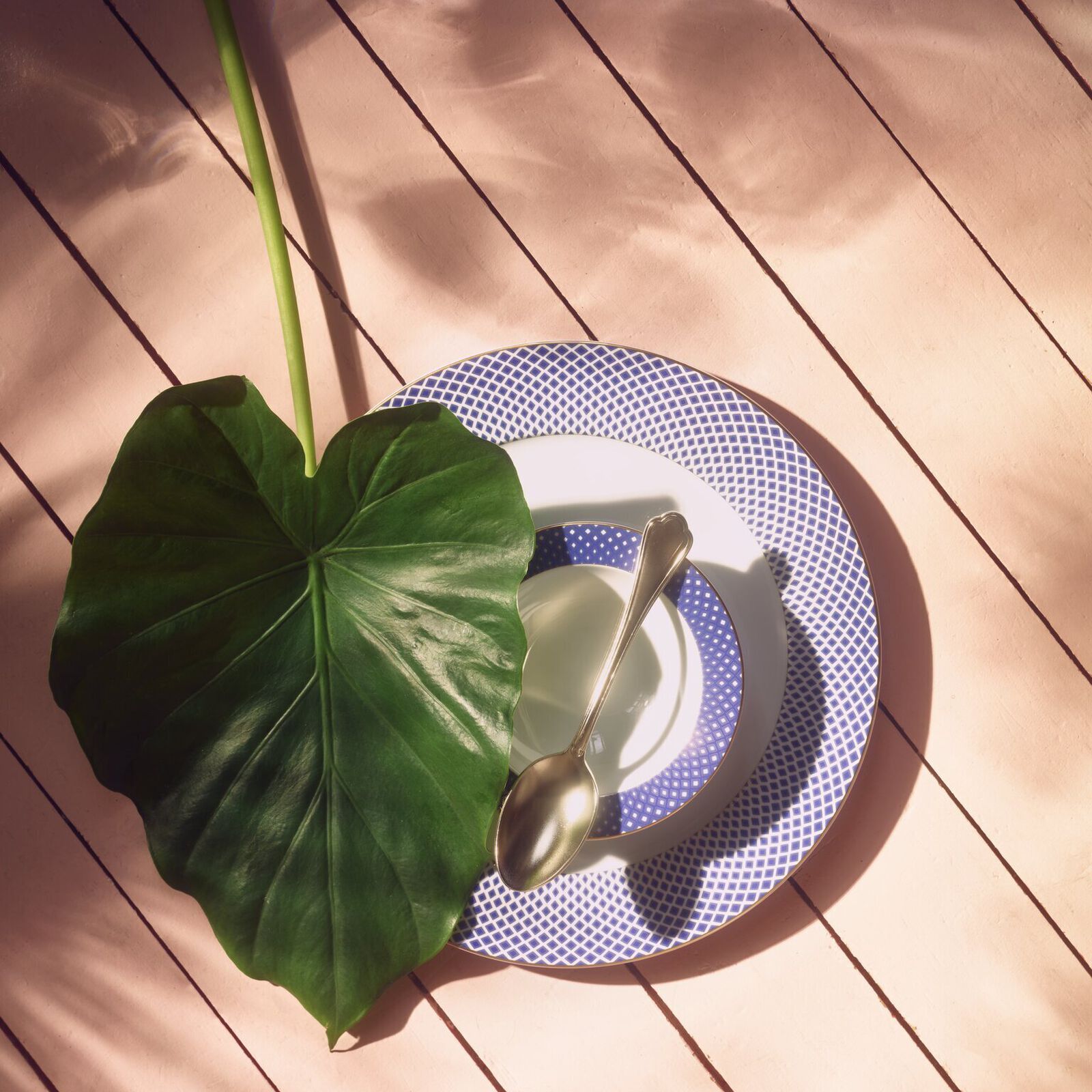 Suppenteller 22 cm image number null