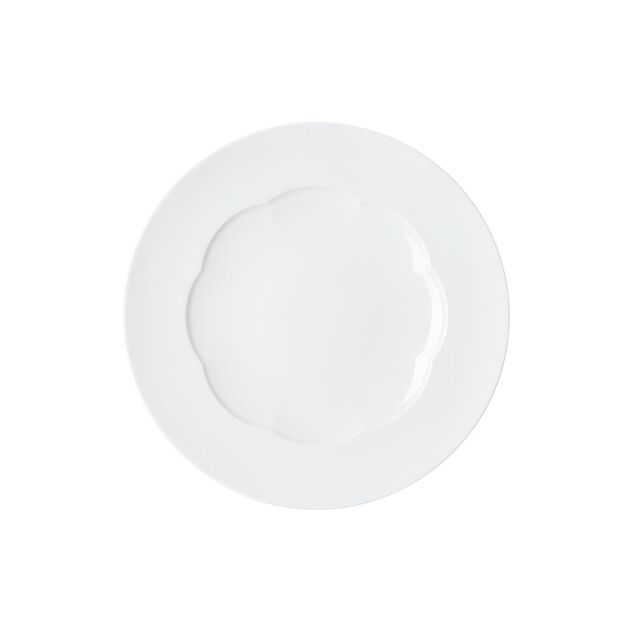Plate 23 cm flat image number 0