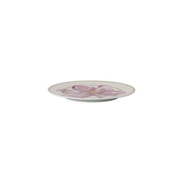 Plate 18 cm image number 1