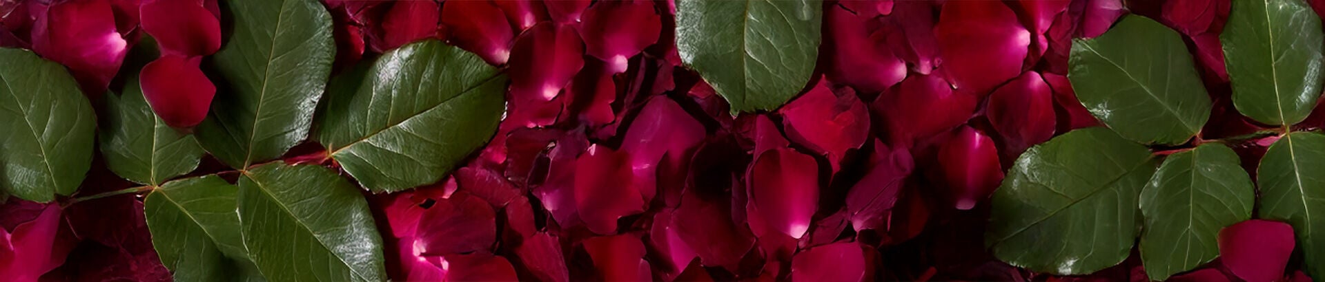 Valentine's Day gift ideas