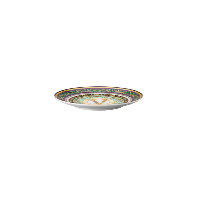 Plate 17 cm image number 1