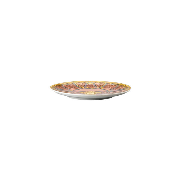 Plate 17 cm image number 1