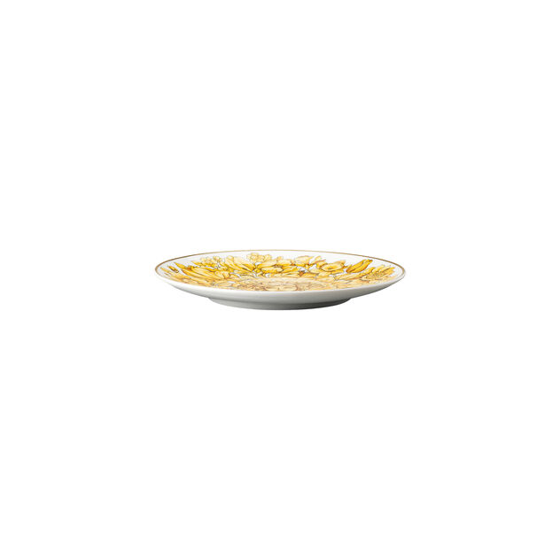 Plate 17 cm image number 1
