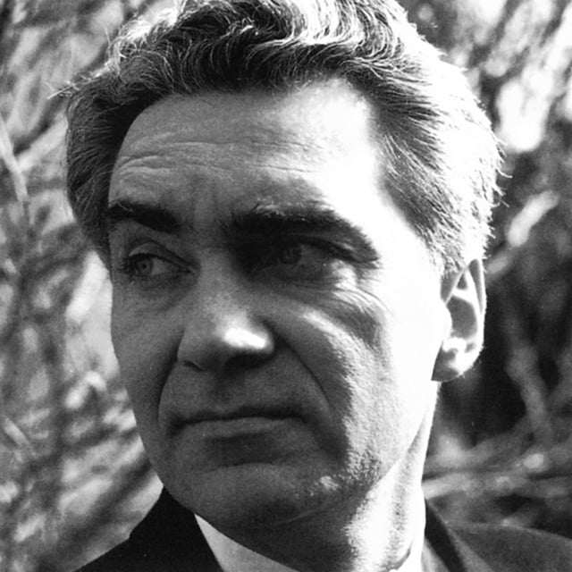 Portrait Michael Boehm Portrait Michael Boehm